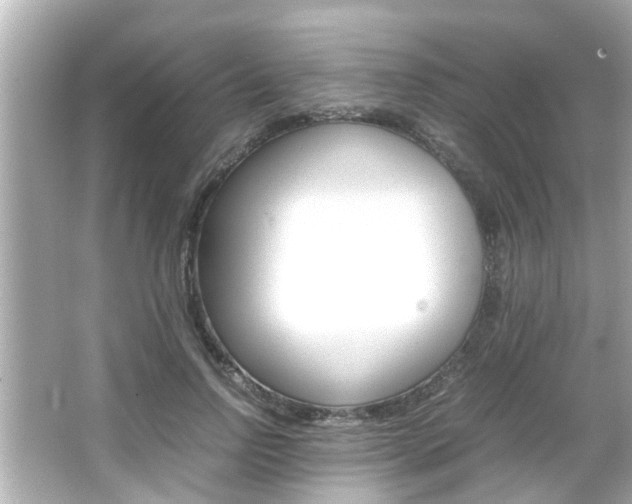 X0000066500742200603170949
