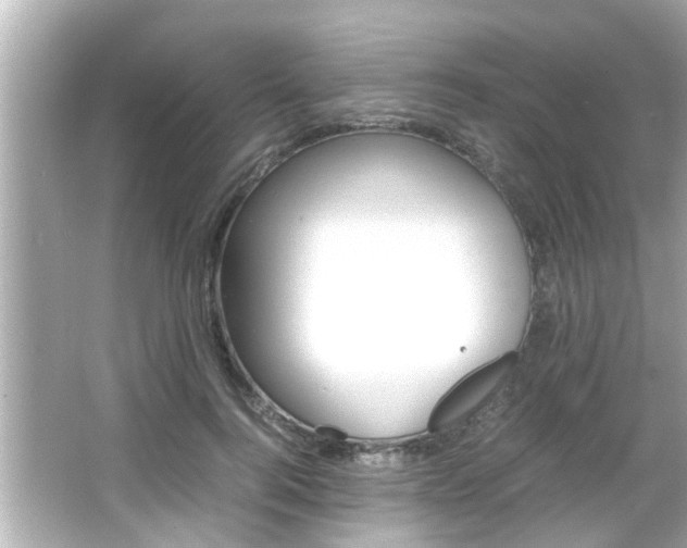 X0000066500744200603170949
