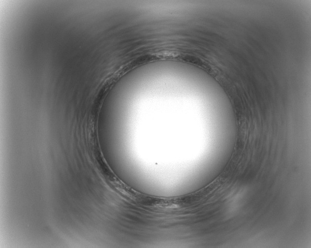 X0000066500747200603170949