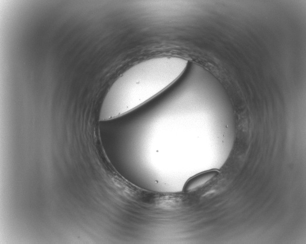 X0000066500754200603170949
