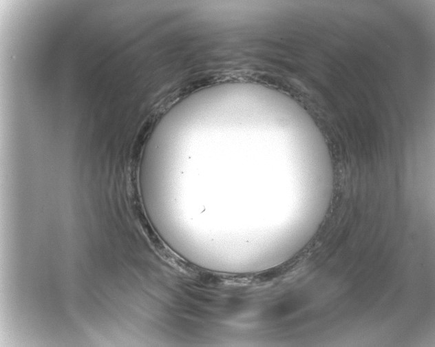 X0000066500757200603170949