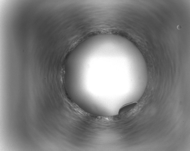 X0000066500768200603170950