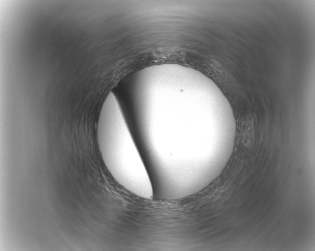 X0000066500770200603170949