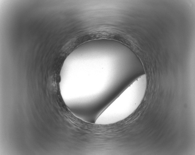 X0000066500771200603170949