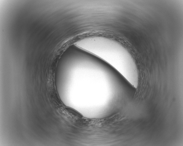X0000066500773200603170949