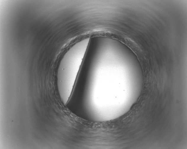 X0000066500776200603170949