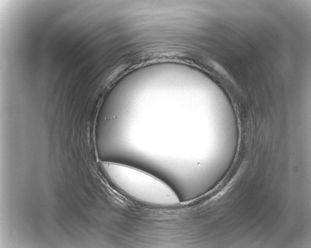 X0000066500777200603170949