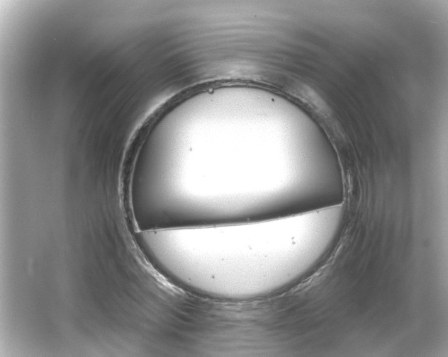 X0000066500780200603170949