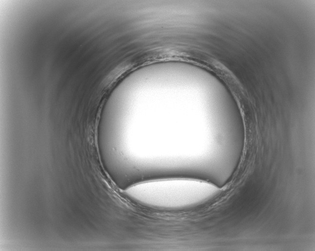 X0000066500785200603170949
