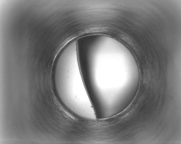 X0000066500786200603170948