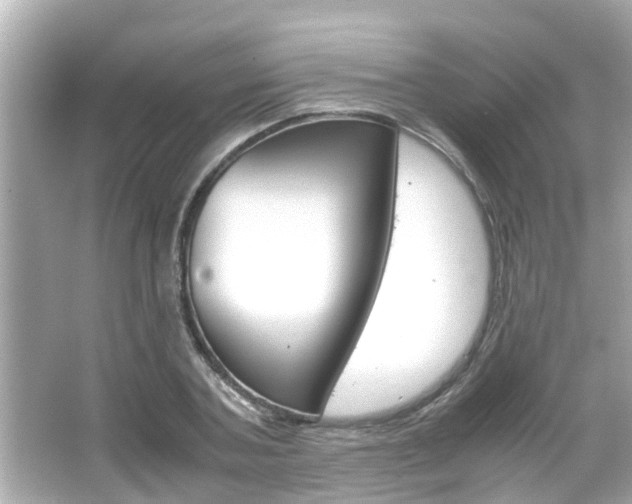 X0000066500787200603170948
