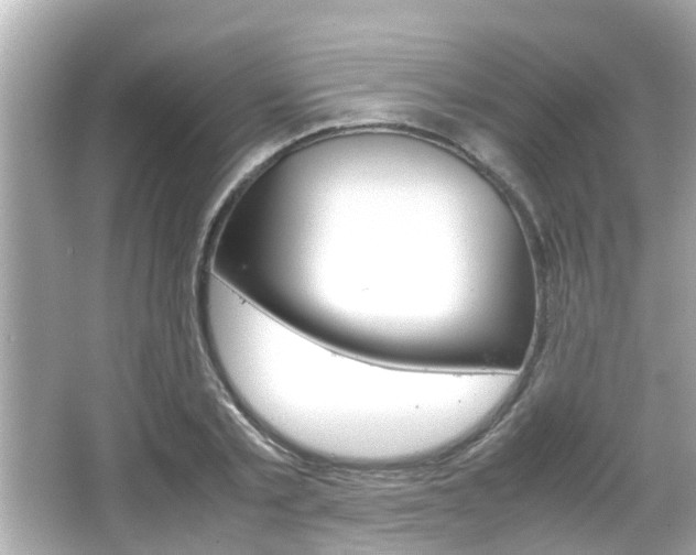 X0000066500789200603170948