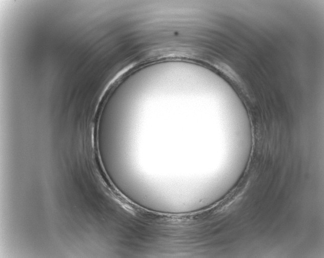 X0000066500790200603170948