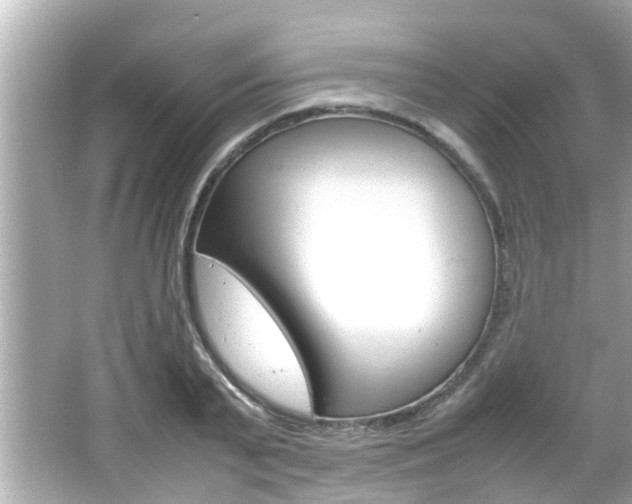 X0000066500791200603170948
