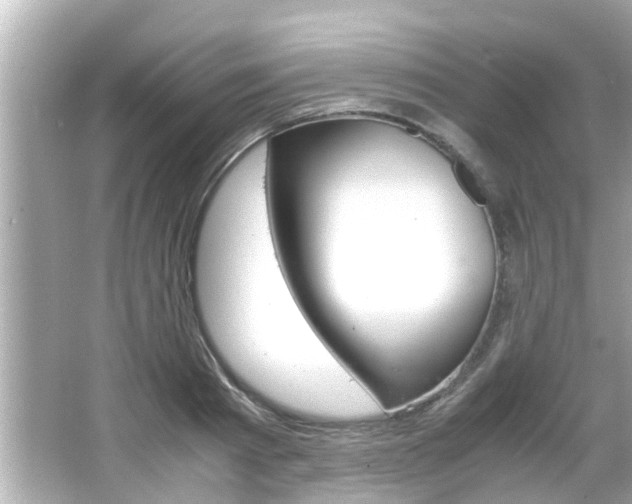 X0000066500793200603170948