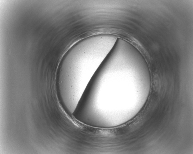 X0000066500794200603170948
