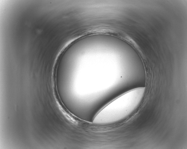 X0000066500795200603170948