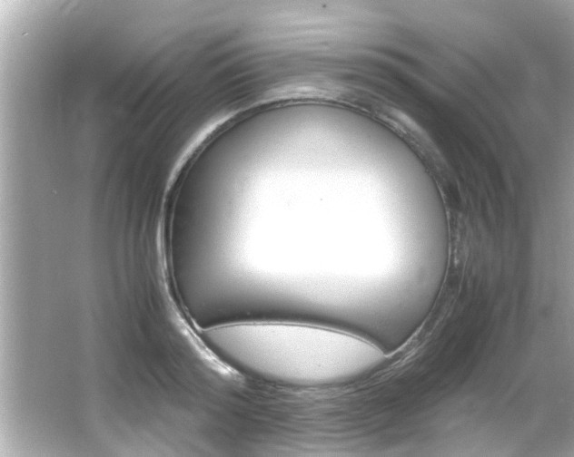 X0000066500796200603170948