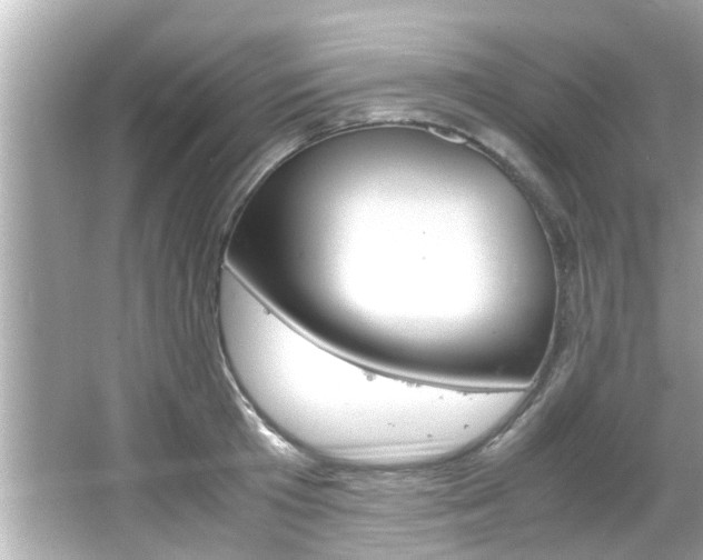 X0000066500801200603170948