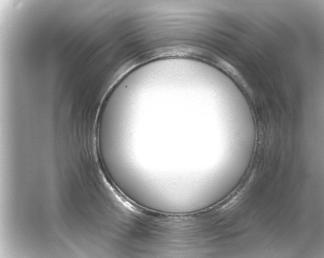 X0000066500802200603170948