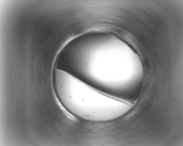 X0000066500803200603170948