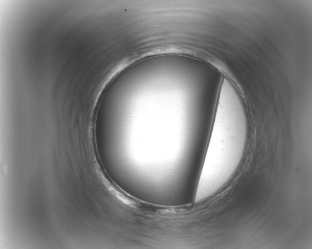 X0000066500805200603170948