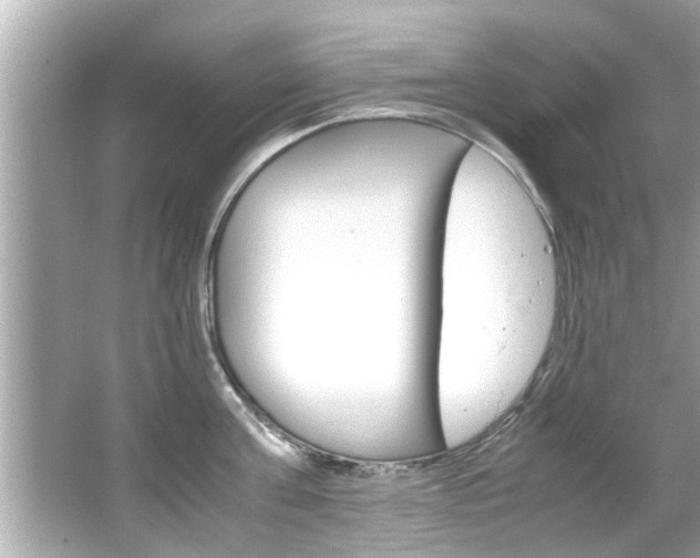 X0000066500811200603170948