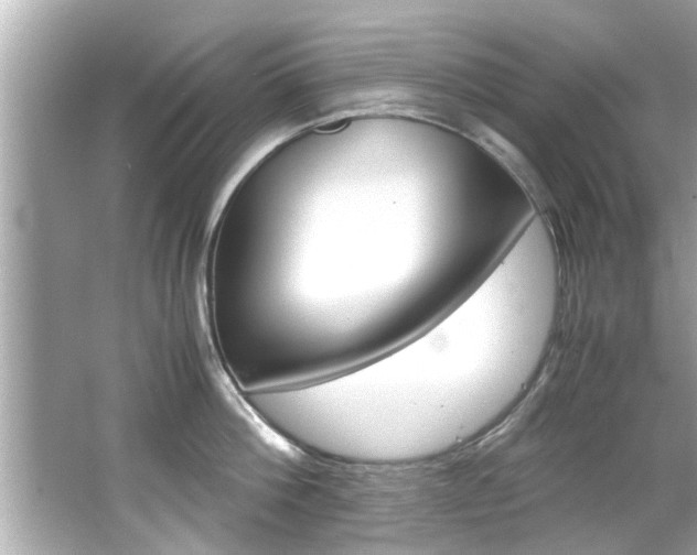 X0000066500812200603170948