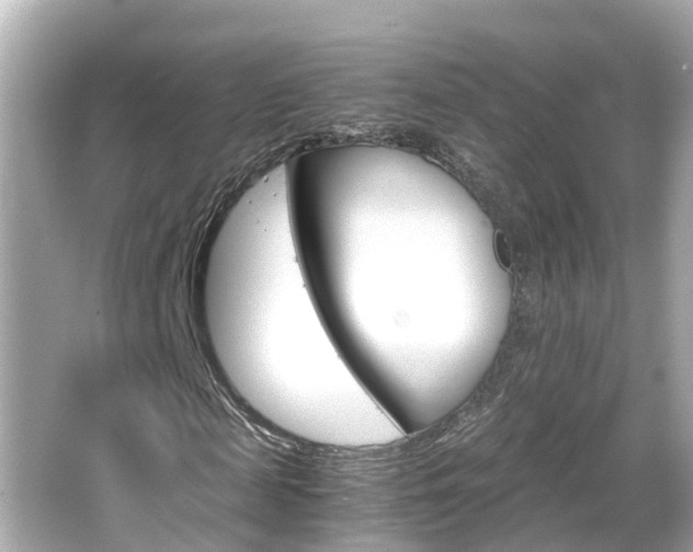 X0000066500817200603170947