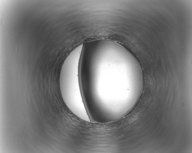 X0000066500818200603170947