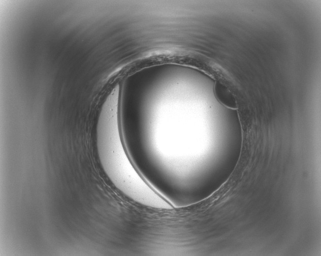 X0000066500822200603170947