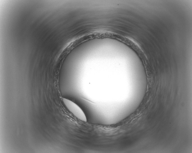 X0000066500823200603170947