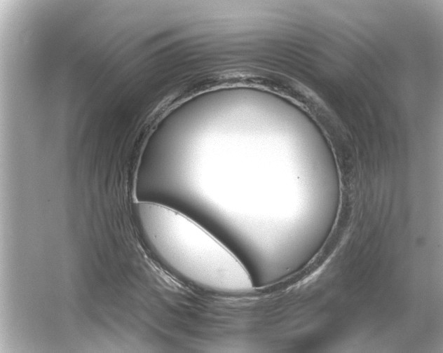 X0000066500825200603170947