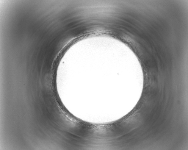 X0000066500828200603170947