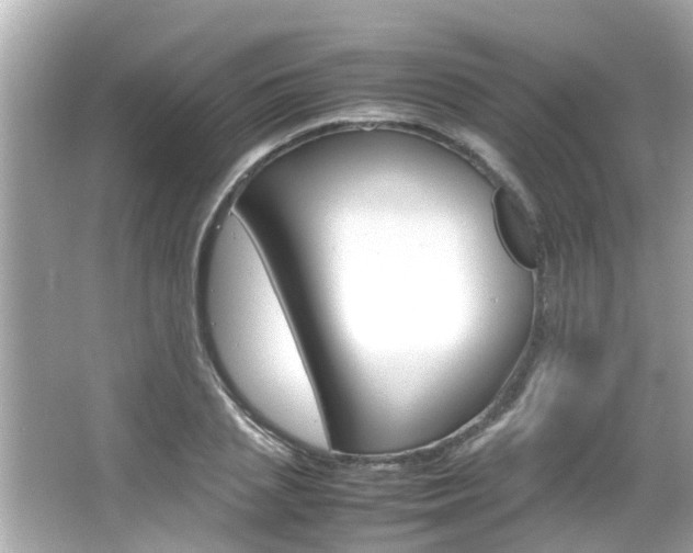 X0000066500837200603170948
