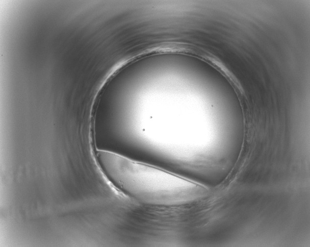 X0000066500853200603170948