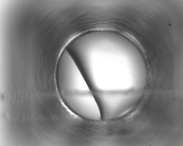 X0000066500855200603170948