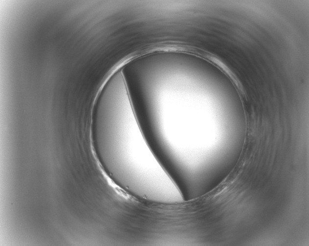 X0000066500861200603170948