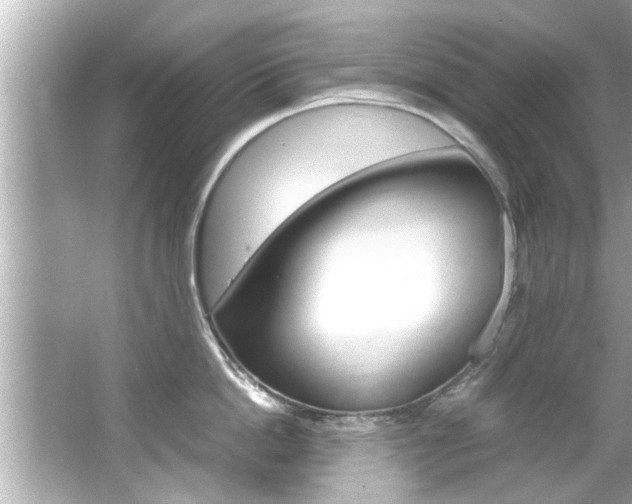 X0000066500862200603170948