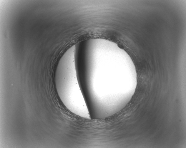 X0000066500865200603170947
