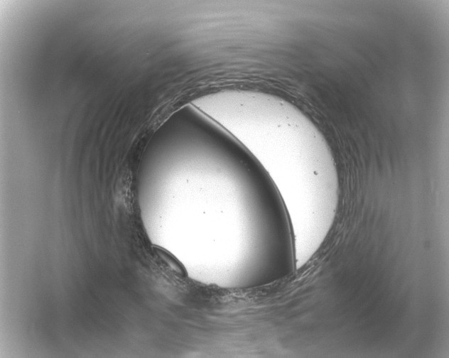 X0000066500867200603170947