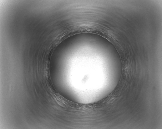 X0000066500868200603170947