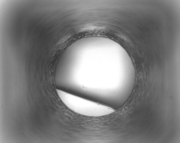 X0000066500869200603170947