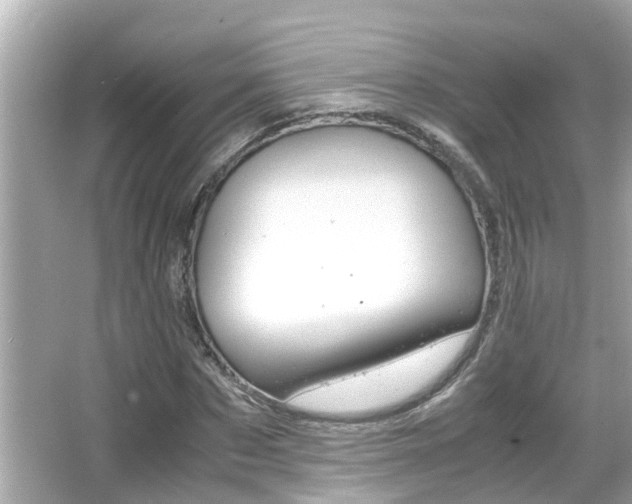 X0000066500873200603170947