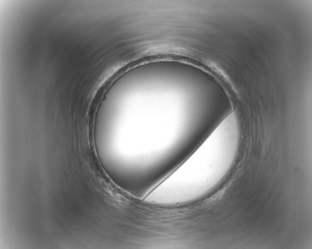 X0000066500877200603170947