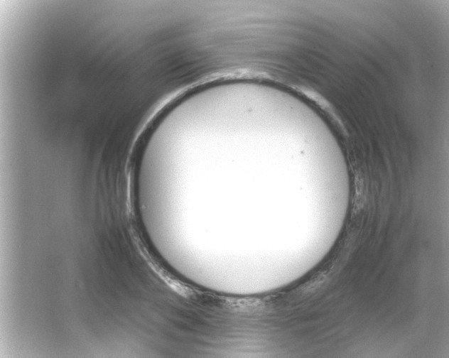 X0000066500886200603170947