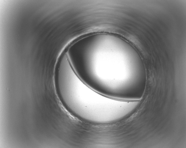 X0000066500888200603170947