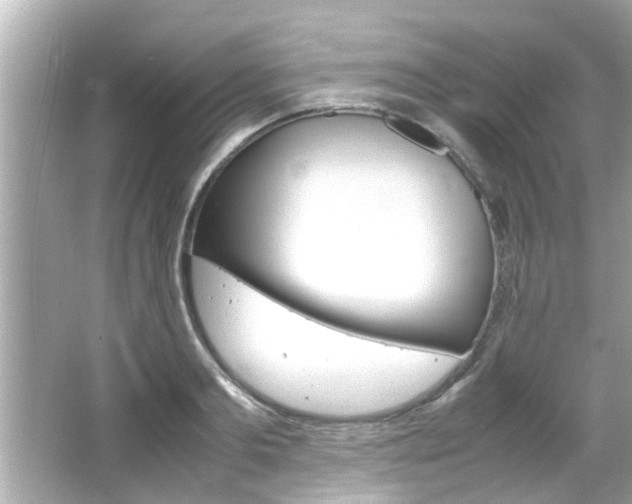 X0000066500893200603170947
