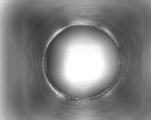 X0000066500901200603170947