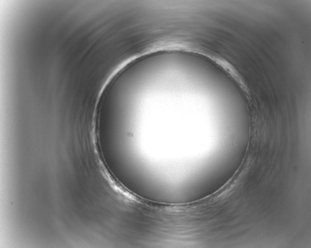 X0000066500904200603170947